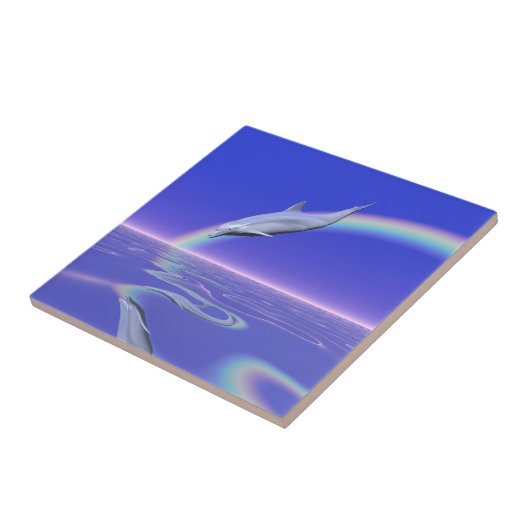 Dolfijnduiken met regenboog tegeltje (Zijkant)