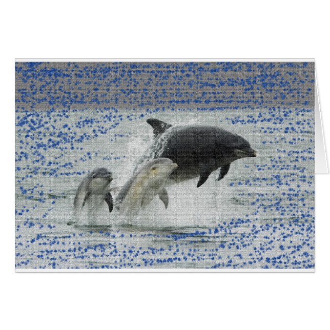 Dolfijnen (Voorkant Horizontaal)