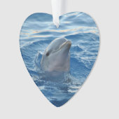 Dolfijnen20151021 Ornament (voorkant)
