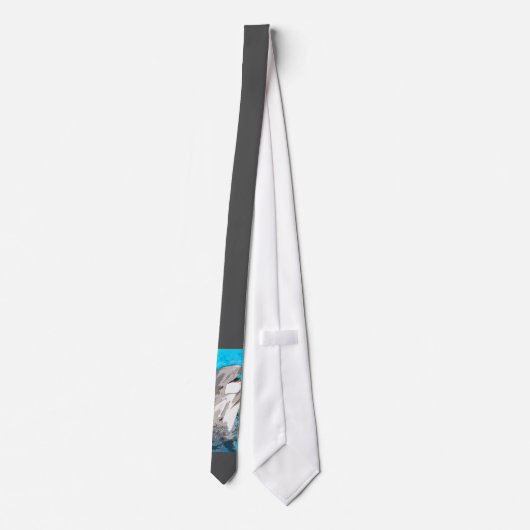 Dolfijnen20160501 Stropdas (Achterkant)