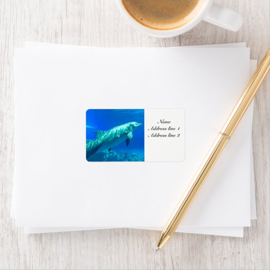 Dolfijnen adresetiketten etiket (Insitu)