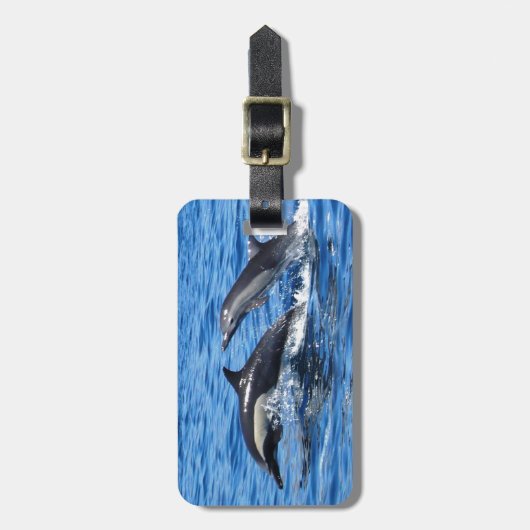 Dolfijnen afspelen bagagelabel (Voorkant verticaal)