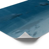 Dolfijnen bij afspelen poster (Hoek)