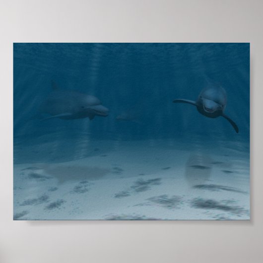 Dolfijnen bij afspelen poster (Voorkant)