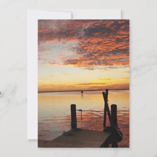 Dolfijnen bij de uitnodiging voor het Sunset Weddi (Achterkant)