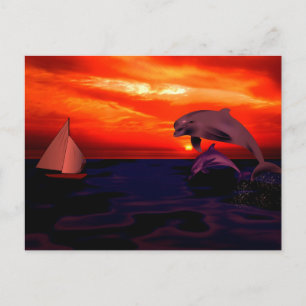 Dolfijnen bij zonsondergang briefkaart