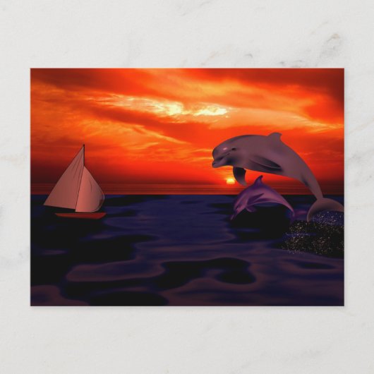 Dolfijnen bij zonsondergang briefkaart (Voorkant)