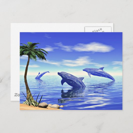 Dolfijnen Briefkaart (Voorkant / Achterkant)