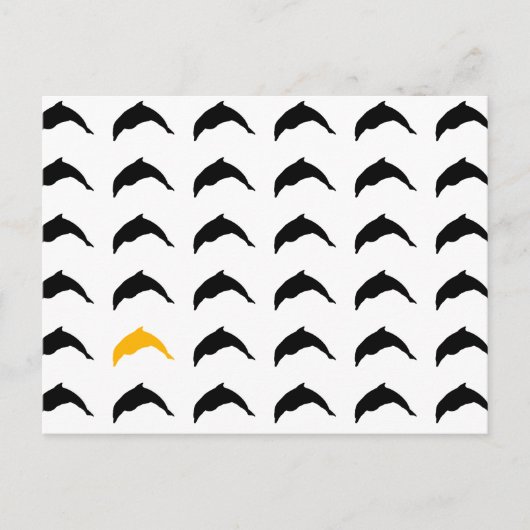 dolfijnen briefkaart (Voorkant)