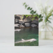 Dolfijnen Briefkaart (Staand voorkant)