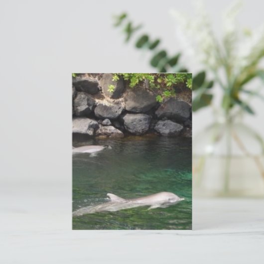 Dolfijnen Briefkaart (Staand voorkant)