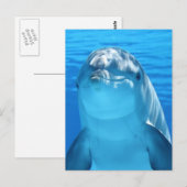 Dolfijnen Briefkaart (Voorkant / Achterkant)