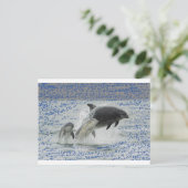 Dolfijnen Briefkaart (Staand voorkant)