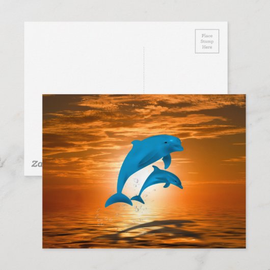 Dolfijnen Briefkaart (Voorkant / Achterkant)
