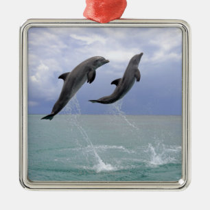 Dolfijnen Delfin (Grosser Tuemmler) Metalen Ornament