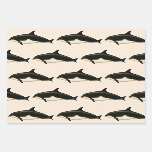 dolfijnen Delphinus Tursio, zeezoogdieren Inpakpapier Vel (Voorkant 2)