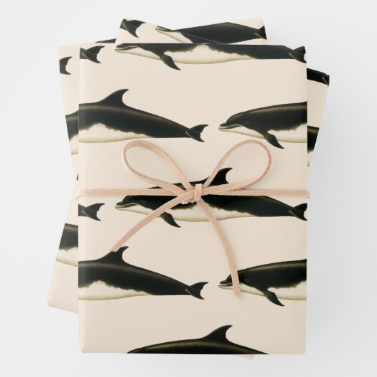 dolfijnen Delphinus Tursio, zeezoogdieren Inpakpapier Vel (In situ)