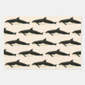 dolfijnen Delphinus Tursio, zeezoogdieren Inpakpapier Vel (Voorkant)