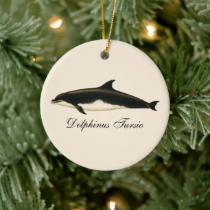  dolfijnen Delphinus Tursio, zeezoogdieren Keramisch Ornament