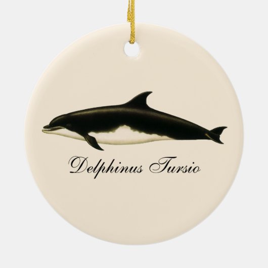 dolfijnen Delphinus Tursio, zeezoogdieren Keramisch Ornament (Achterkant)