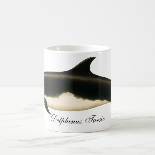  dolfijnen Delphinus Tursio, zeezoogdieren Koffiemok (Center)