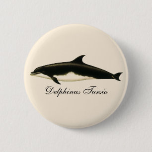  dolfijnen Delphinus Tursio, zeezoogdieren Ronde Button 5,7 Cm