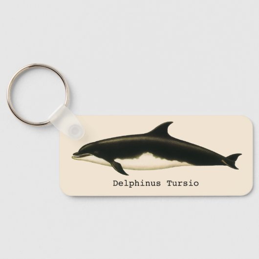 dolfijnen Delphinus Tursio, zeezoogdieren Sleutelhanger (Achterkant)