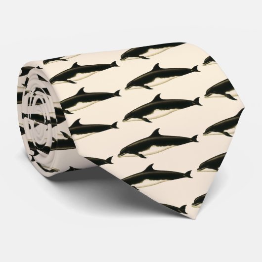 dolfijnen Delphinus Tursio, zeezoogdieren Stropdas (Opgerold)