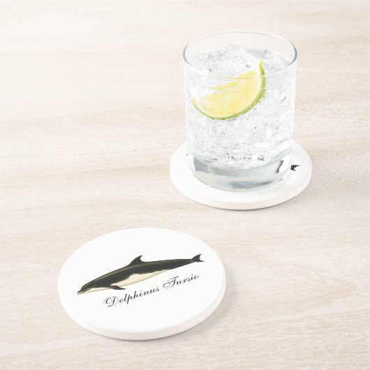dolfijnen Delphinus Tursio, zeezoogdieren Zandsteen Onderzetter (Zijkant)