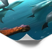 Dolfijnen die onderwater zwemmen poster (Hoek)