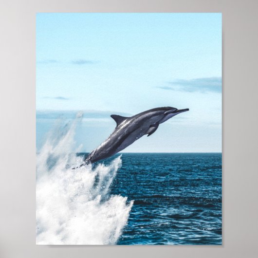 Dolfijnen die uit de oceaan ontsnappen poster (Voorkant)