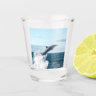Dolfijnen die uit de oceaan ontsnappen shot glas
