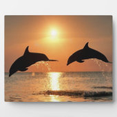 Dolfijnen door Sunset Fotoplaat (Voorkant)
