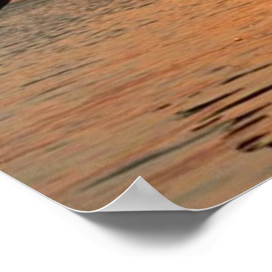 Dolfijnen door Sunset Poster (Hoek)