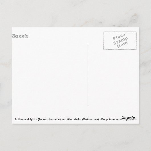 Dolfijnen en killerwalvissen briefkaart (Achterkant)