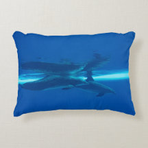 Dolfijnen en reflecties