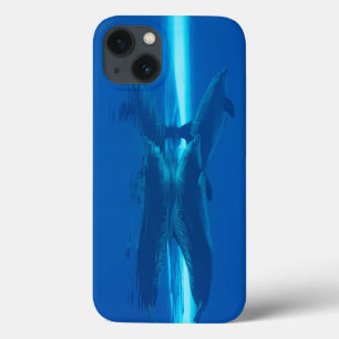 Dolfijnen en reflecties Case-Mate iPhone case