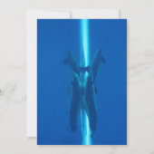 Dolfijnen en reflecties in de blauwe oceaanwateren kaart (Voorkant)