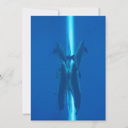 Dolfijnen en reflecties in de blauwe oceaanwateren kaart (Voorkant)