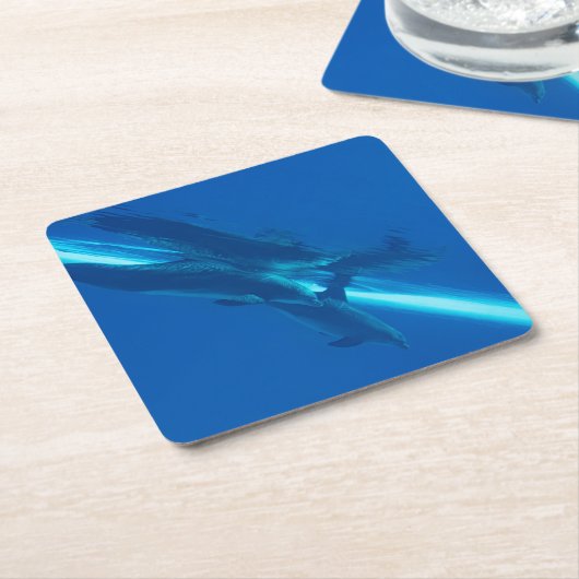Dolfijnen en reflecties kartonnen onderzetters (Schuin)