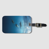 Dolfijnen familie onderwater foto bagagelabel (Voorkant (horizontaal))