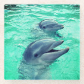 Dolfijnen Glazen Onderzetter (Voorkant)