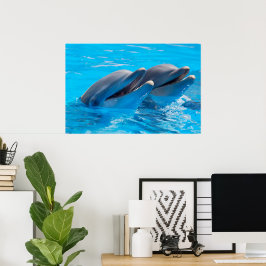 Dolfijnen glimlachen poster