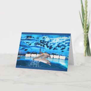 Dolfijnen in beweging feestdagen kaart