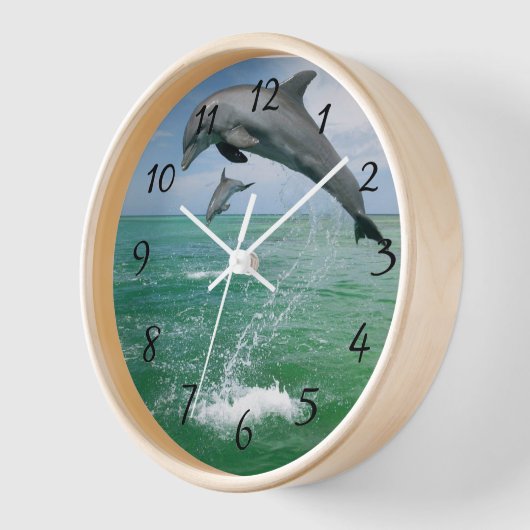 Dolfijnen in de wilde  (Hoek)