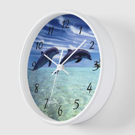 Dolfijnen in de wilde  (Hoek)