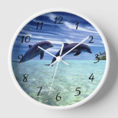 Dolfijnen in de wilde (Voorkant)