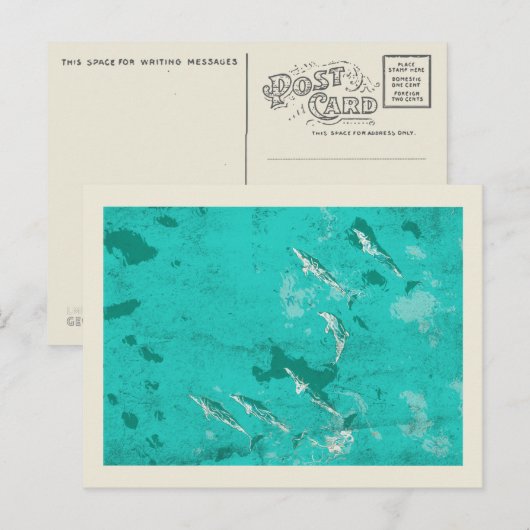 Dolfijnen in het Caribische zee Briefkaart (Voorkant / Achterkant)