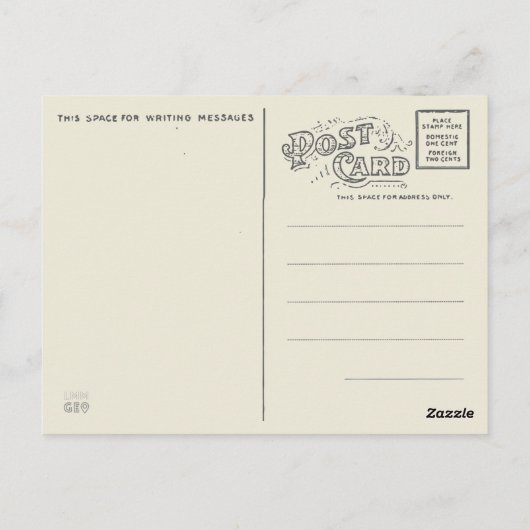 Dolfijnen in het Caribische zee Briefkaart (Achterkant)