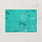 Dolfijnen in het Caribische zee Briefkaart (Voorkant)